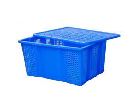 Khuôn nhựa hải sản 08