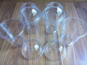 Ly dùng 1 lần mẫu 11